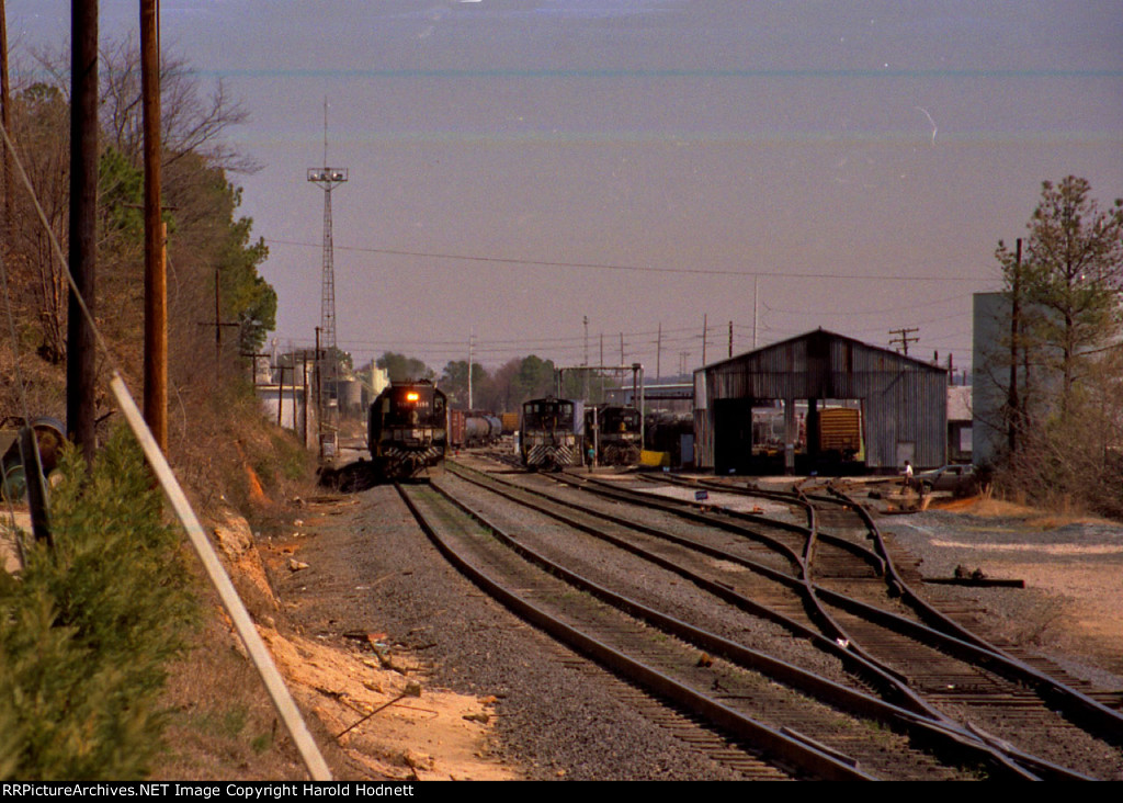 View of the Southern yard from Fairview Road